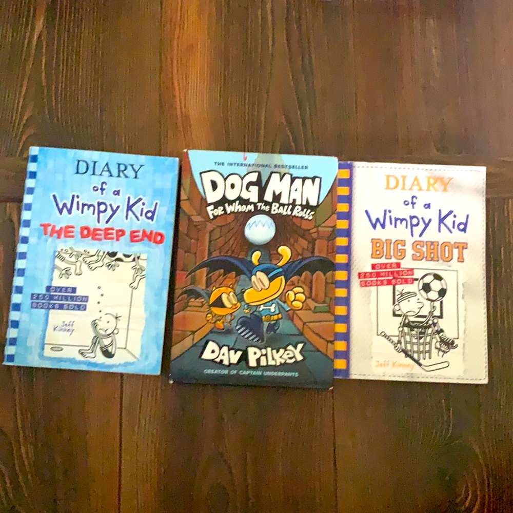 chapter book bundle diary of a whimpy kid dog man